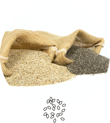 Chia
