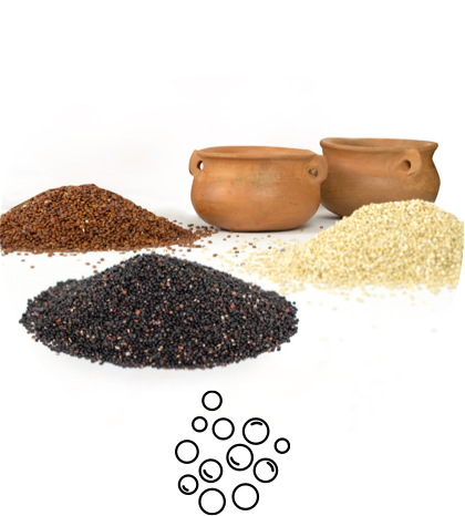 Quinoa